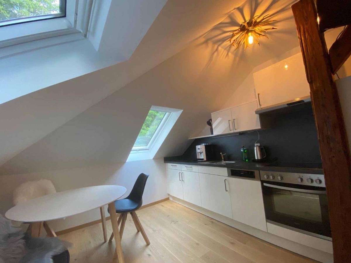 Forsthaus Apartment Crimmitschau Luaran gambar